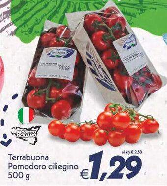 Iper Super Conveniente Terrabuona Pomodoro ciliegino 500 g offerta