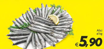 Iper Super Conveniente Alici al kg offerta