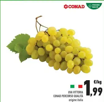 Conad Superstore Conad Uva Vittoria Percorso Qualita offerta