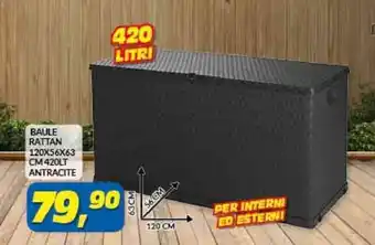 Risparmio Casa BAULE RATTAN 120X56X63 CM 420LT ANTRACITE offerta
