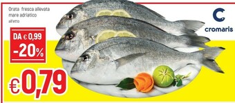 Famila Orata offerta