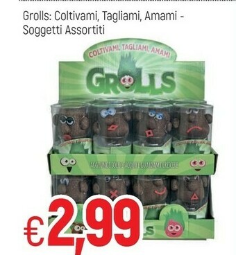 Famila Piante offerta