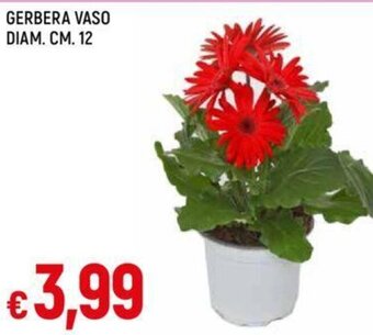 Galassia GERBERA VASO DIAM. CM. 12 offerta