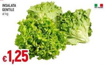 Galassia INSALATA GENTILE al kg offerta