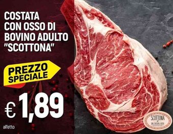 Galassia COSTATA CON OSSO DI BOVINO ADULTO "SCOTTONA" offerta