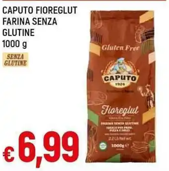 Galassia CAPUTO FIOREGLUT FARINA SENZA GLUTINE 1000 g offerta