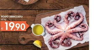 Bennet Polpo Arricciato offerta