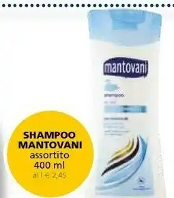 Il Gigante Mantovani Shampoo offerta