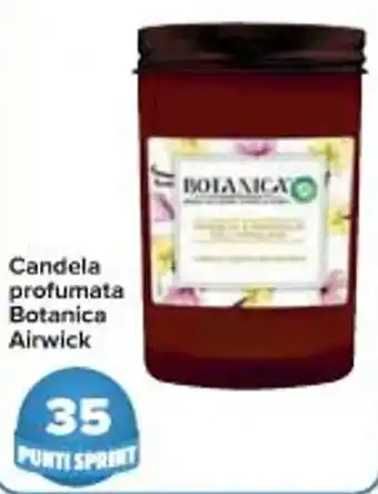Candela profumata Botanica Airwick
