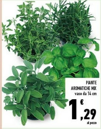 Conad Piante Aromatiche Mix offerta
