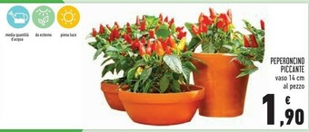 Conad Peperoncino Piccante offerta