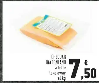 Conad Cheddar Bayernland offerta