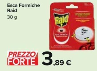 Carrefour Esca Formiche Raid 30 g offerta