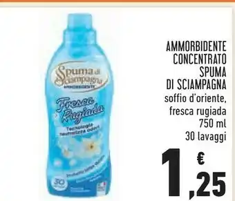 Conad Spuma Di Sciampagna Ammorbidente 750 Ml offerta