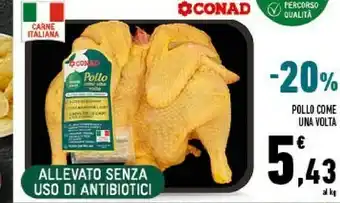 Conad Conad Pollo Come Una Volta offerta