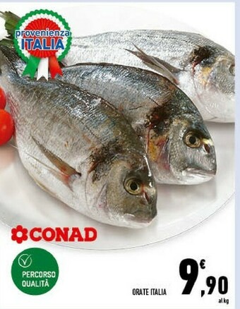 Conad Conad Orate Italia offerta