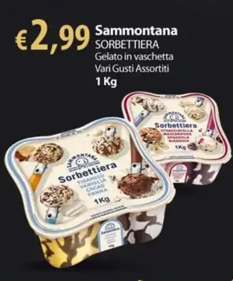 Extra Supermercati Sammontana SORBETTIERA Gelato in vaschetta Vari Gusti Assortiti 1 Kg offerta