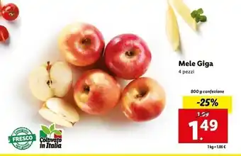 Lidl Mele giga offerta