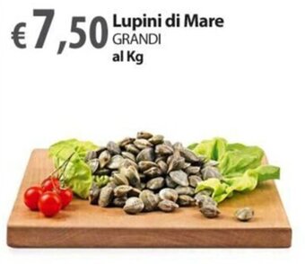 Extra Supermercati Lupini di Mare GRANDI offerta