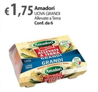Extra Supermercati Amadori UOVA GRANDI Allevate a Terra Conf. da 6 offerta