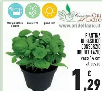 Conad Consorzio ori del lazio Piantina Di Basilico offerta