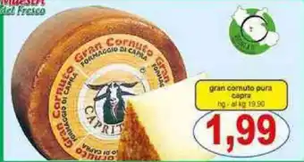 gran cornuto pura capra