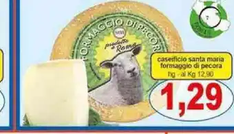 Pewex caseificio santa maria formaggio di pecora offerta