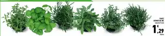 Conad Conad Piante Aromatiche Mix offerta