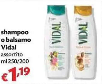 Vidal Shampoo o balsamo 250/200ml