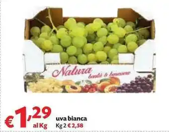 Panorama Uva Bianca 2kg offerta