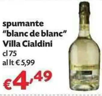 Panorama Villa Cialdini "blanc de blanc" spumante 75cl offerta