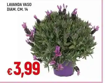 Galassia LAVANDA VASO DIAM. CM. 14 offerta
