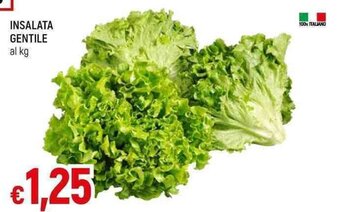 INSALATA GENTILE al kg