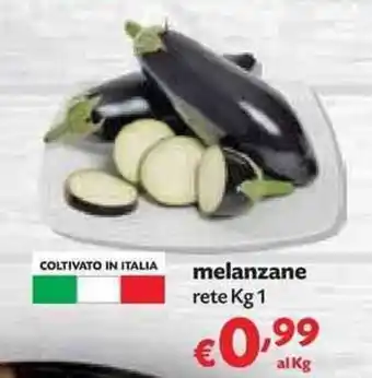 Panorama Melanzane 1kg offerta