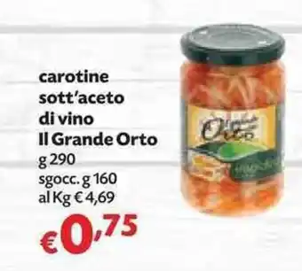 Panorama Il Grande Orto Carotine sott'aceto di vino 290g offerta
