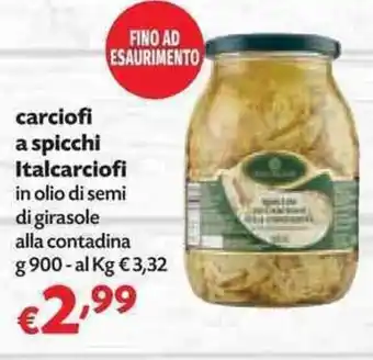 Panorama Italcarciofi Carciofi a spicchi 900g offerta