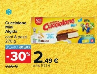Carrefour Sammontana Gelato offerta