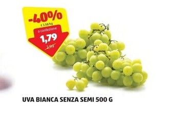 ALDI Uva bianca senza semi 500 g offerta