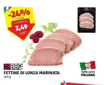 ALDI Fettine di lonza marinata offerta