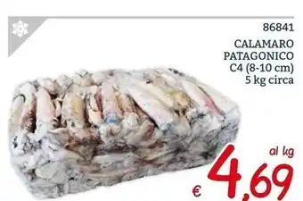 Zona Calamaro patagonico offerta