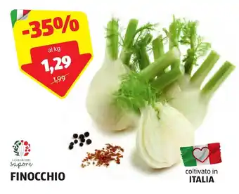 ALDI FINOCCHIO offerta