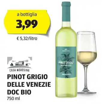 ALDI PINOT GRIGIO DELLE VENEZIE DOC BIO 750 ml offerta