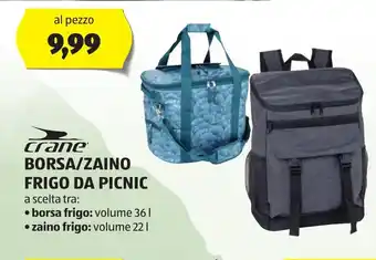 ALDI crane BORSA/ZAINO FRIGO DA PICNIC offerta