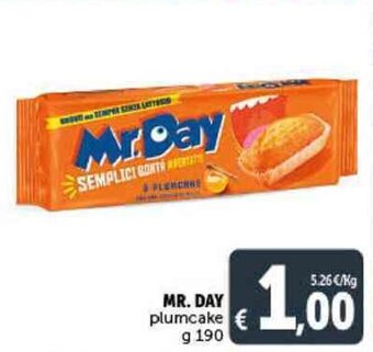 MR. DAY plumcake g 190