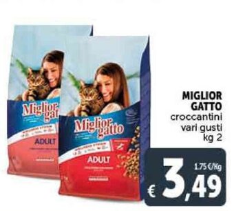 Deco Supermercati MIGLIOR GATTO croccantini vari gusti kg 2 offerta
