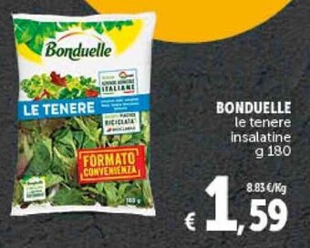 Deco Supermercati BONDUELLE le tenere insalatine g 180 offerta