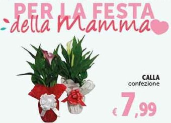 Deco Supermercati CALLA offerta