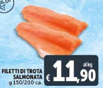 FILETTI DI TROTA SALMONATA g 150/200 ca.