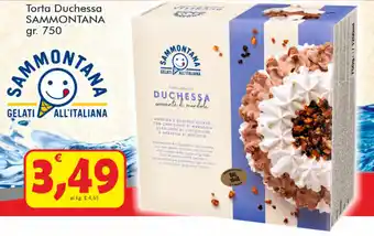 Paghi Poco Sammontana Torta Duchessa 750gr. offerta