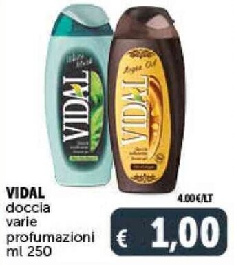 Deco Supermercati VIDAL doccia varie profumazioni ml 250 offerta